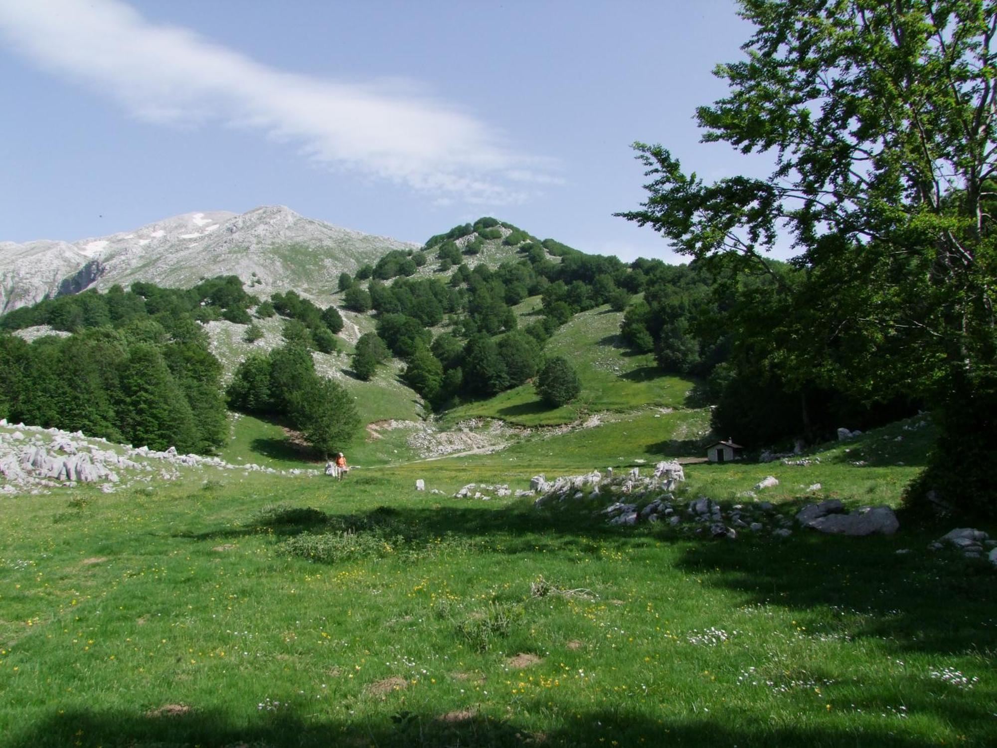 B&B Vivilmatese Roccamandolfi Zewnętrze zdjęcie